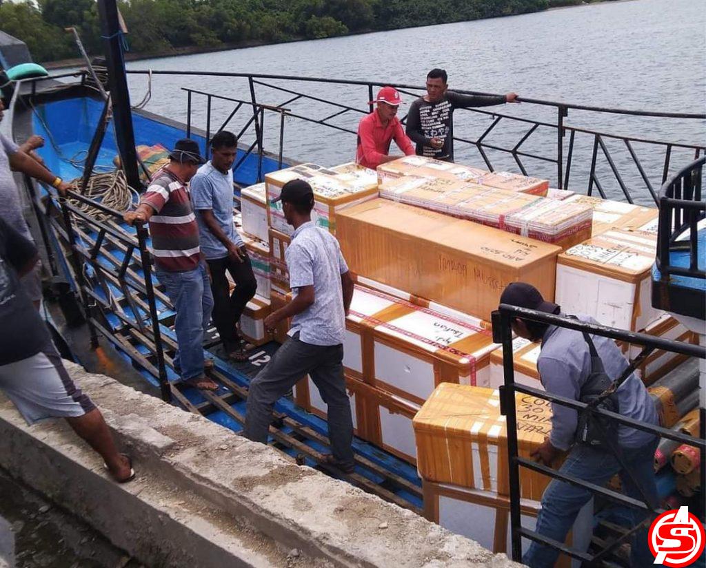 PT.Energi Pulau Suja Kembali Ekspor Keladi Aceh ke Thailand