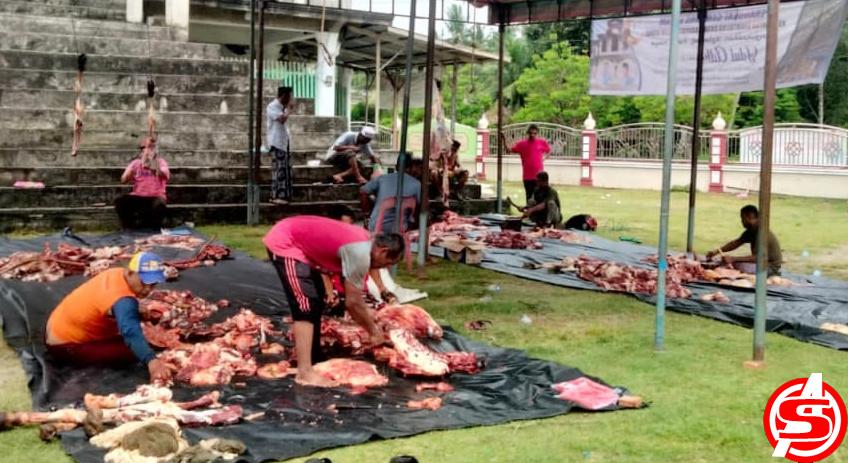 Masyarakat Kulam Syamtalira Aron Kurban Empat Ekor Lembu