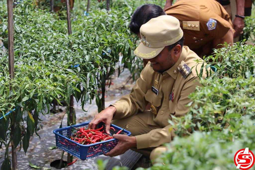 Pj Wali Kota Lhokseumawe Ajak Masyarakat Manfaatkan Lahan Tidur