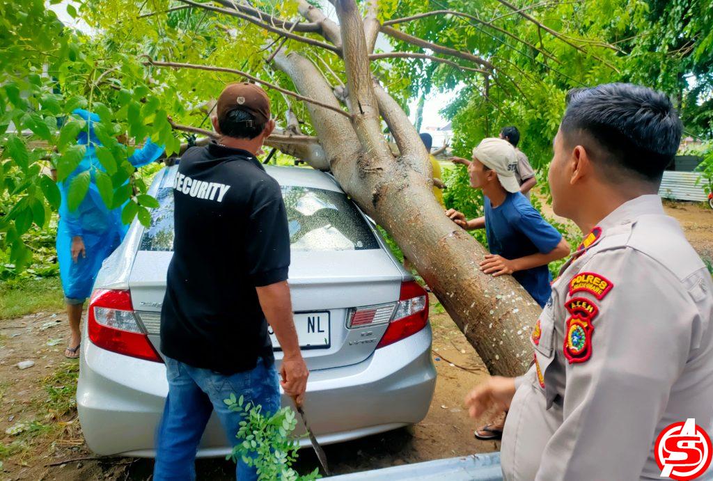 Angin Kencang, Mobil Mewah di Lhokseumawe Tertimpa Pohon Tumbang