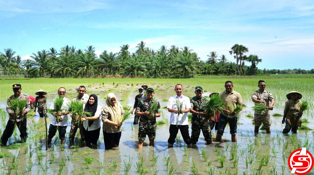Dandim: Aceh Utara Harus Jadi Lumbung Padi Indonesia
