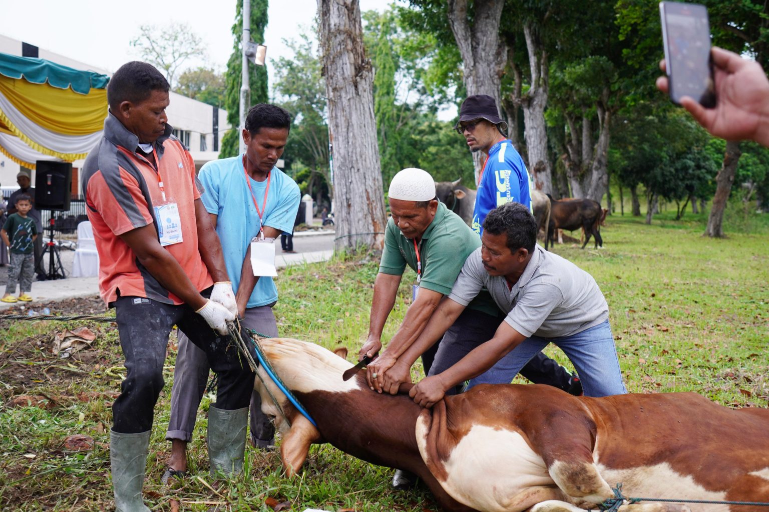 PIM Salurkan 28 Hewan Kurban untuk Desa Lingkungan Perusahaan