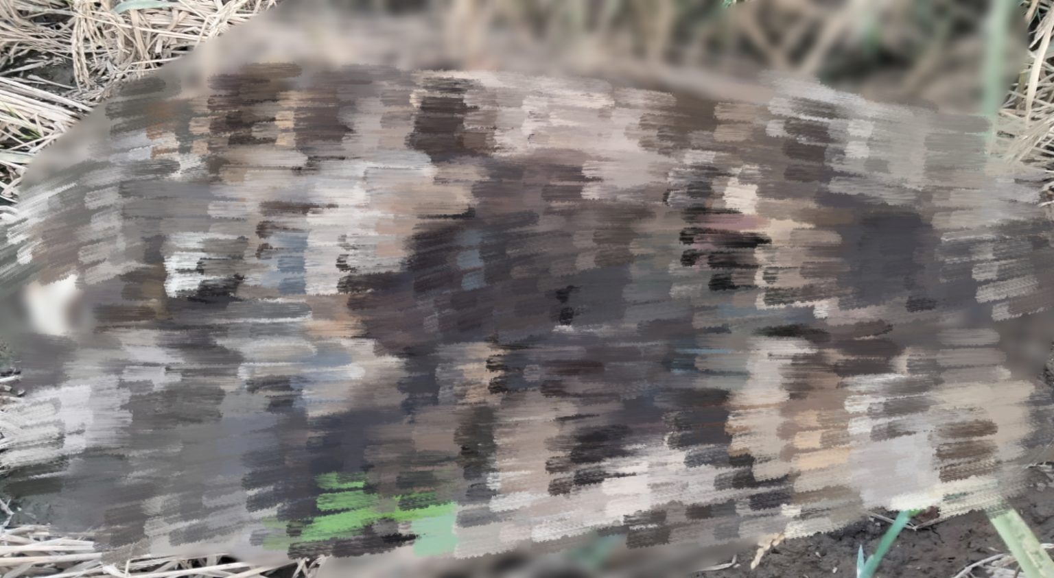 Korban Banjir Bandang Muara Batu Ditemukan Setelah Tiga Pekan Pencarian