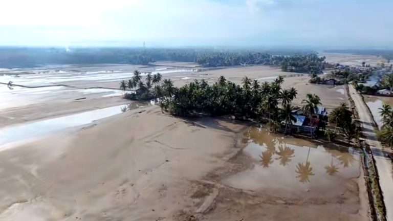 Banjir Bireuen Lumpuhkan Pertanian: 2.000 Hektare Sawah Rusak, Ancaman Kemiskinan Menguat