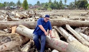 Ketika Kayu Raksasa Hanyut, Alam Aceh Menggugat